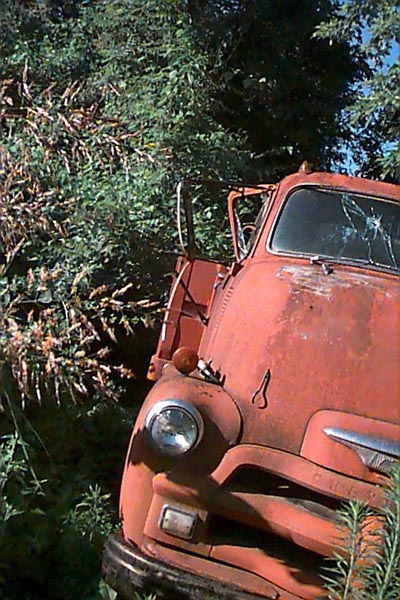 junkyard photos chevy gmc trucks